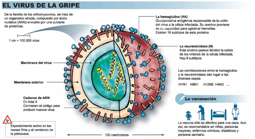 Gripe otra vez el enemigo a las puertas Salud Ediciones