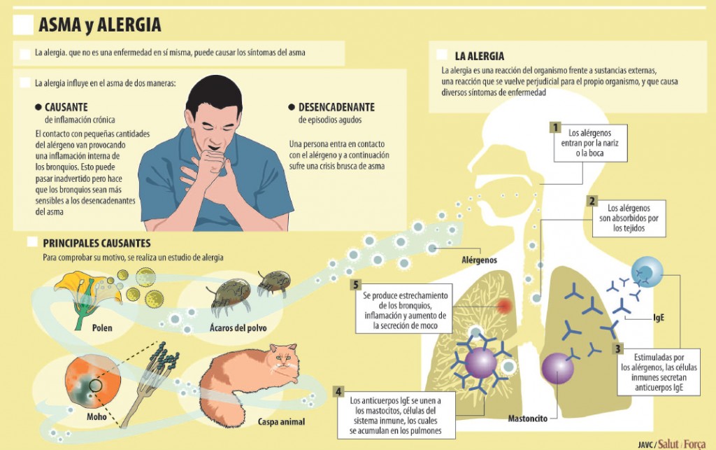 Alergia a la fruta sintomas