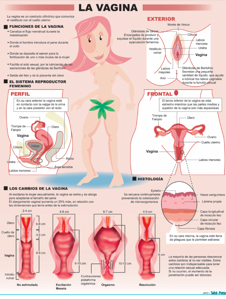 Problemas bajo el monte de Venus – Salud Ediciones