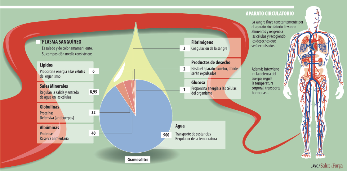 anticoagulacion-2