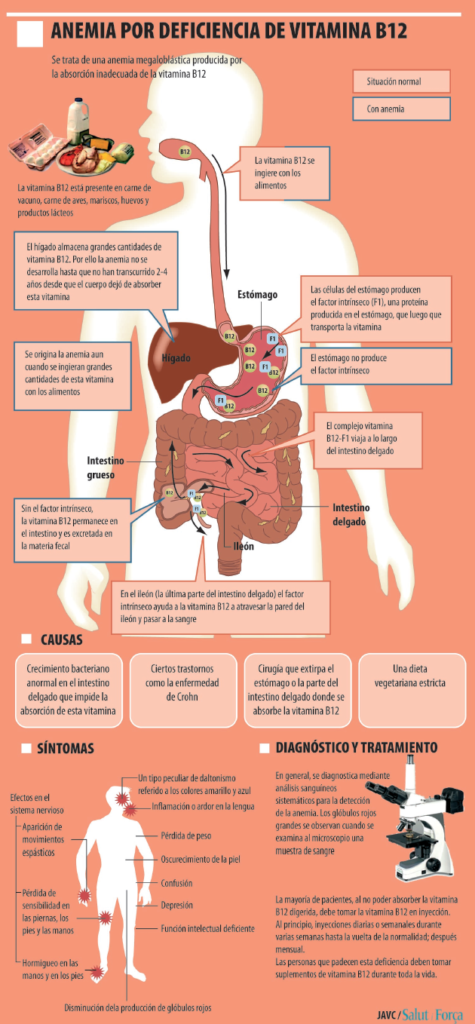 istoric medical al diphildobothriasis în limba condilomului la adulți